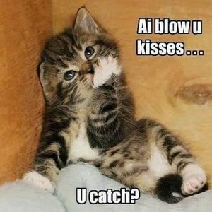 Meet your Posher, Cherise